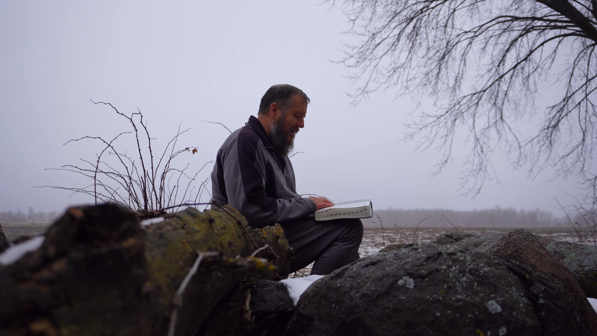 Reading the Psalms in nature