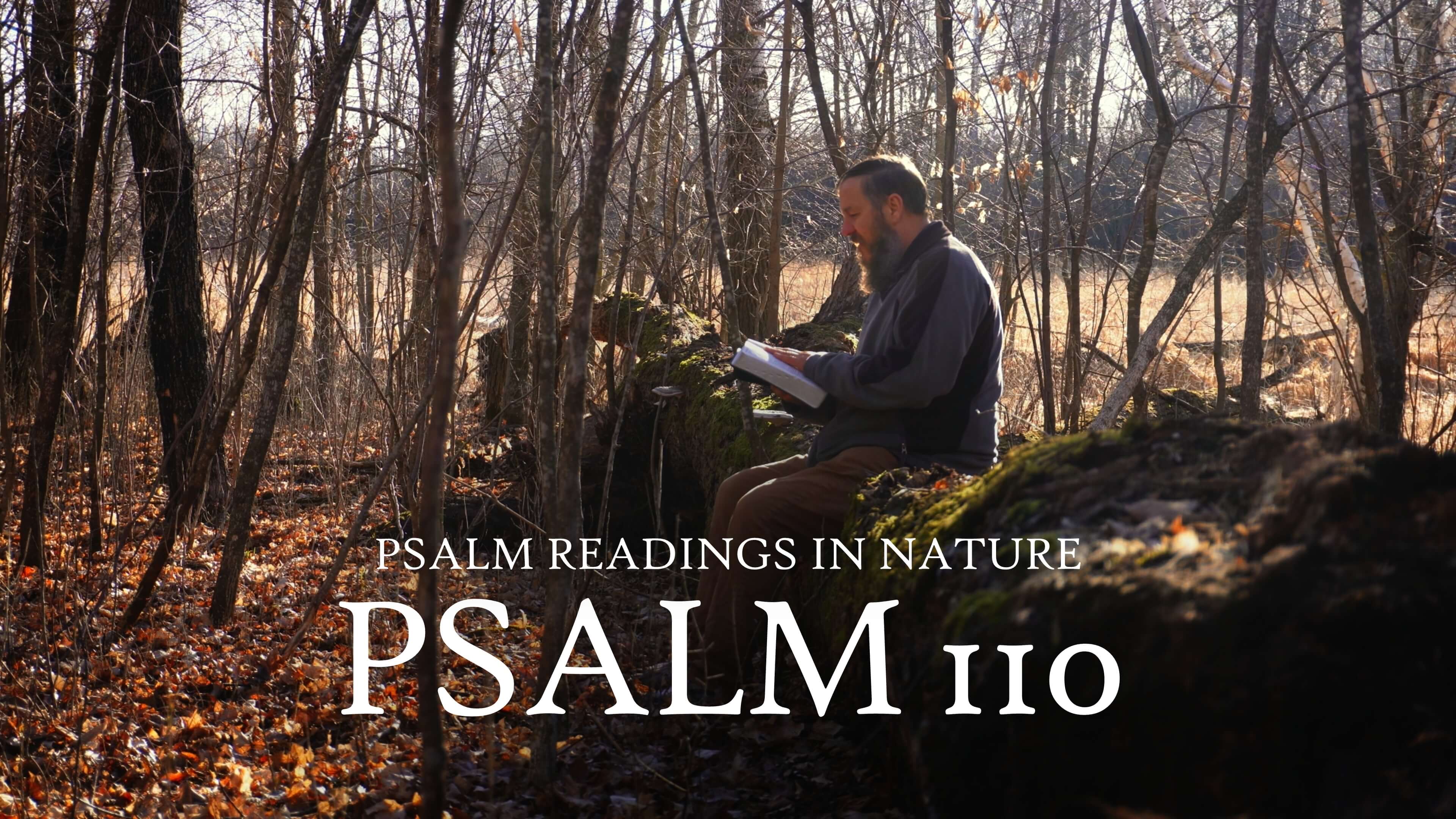 Psalm 110 | A royal and prophetic psalm