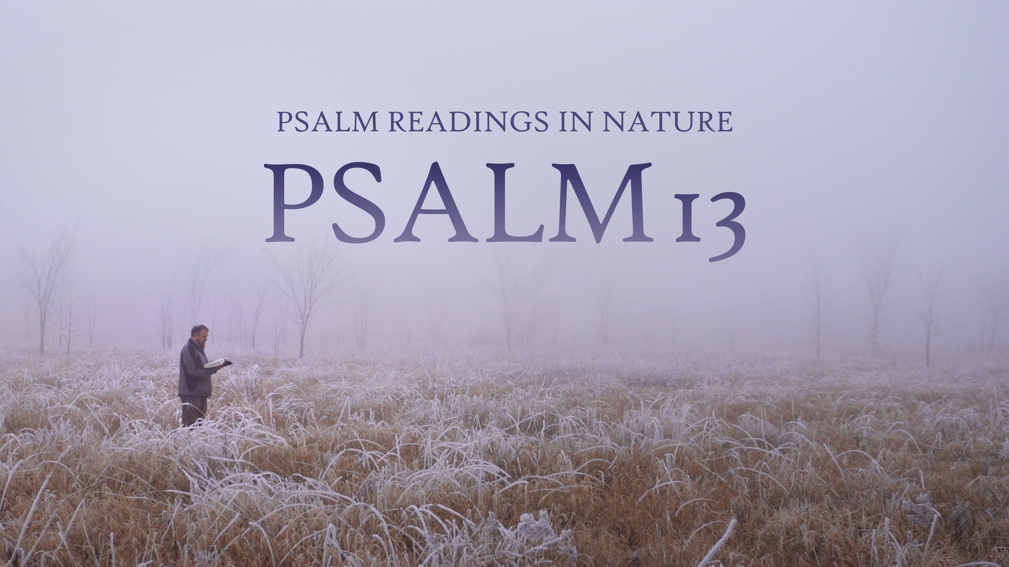 Psalm 13 | The "How long?" Psalm