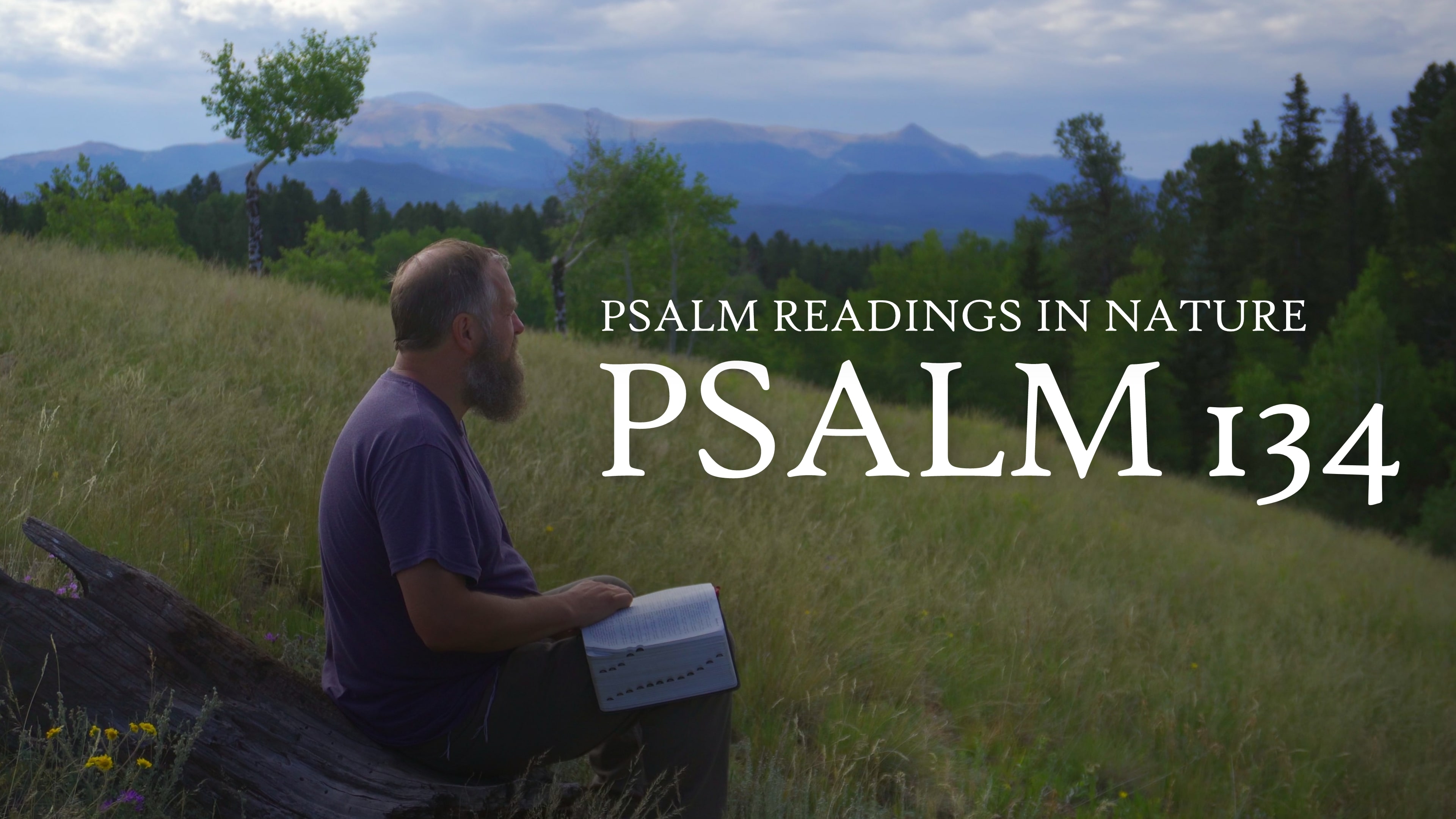 Psalm 134 | "Bless ye Yahweh, all ye servants of Yahweh"