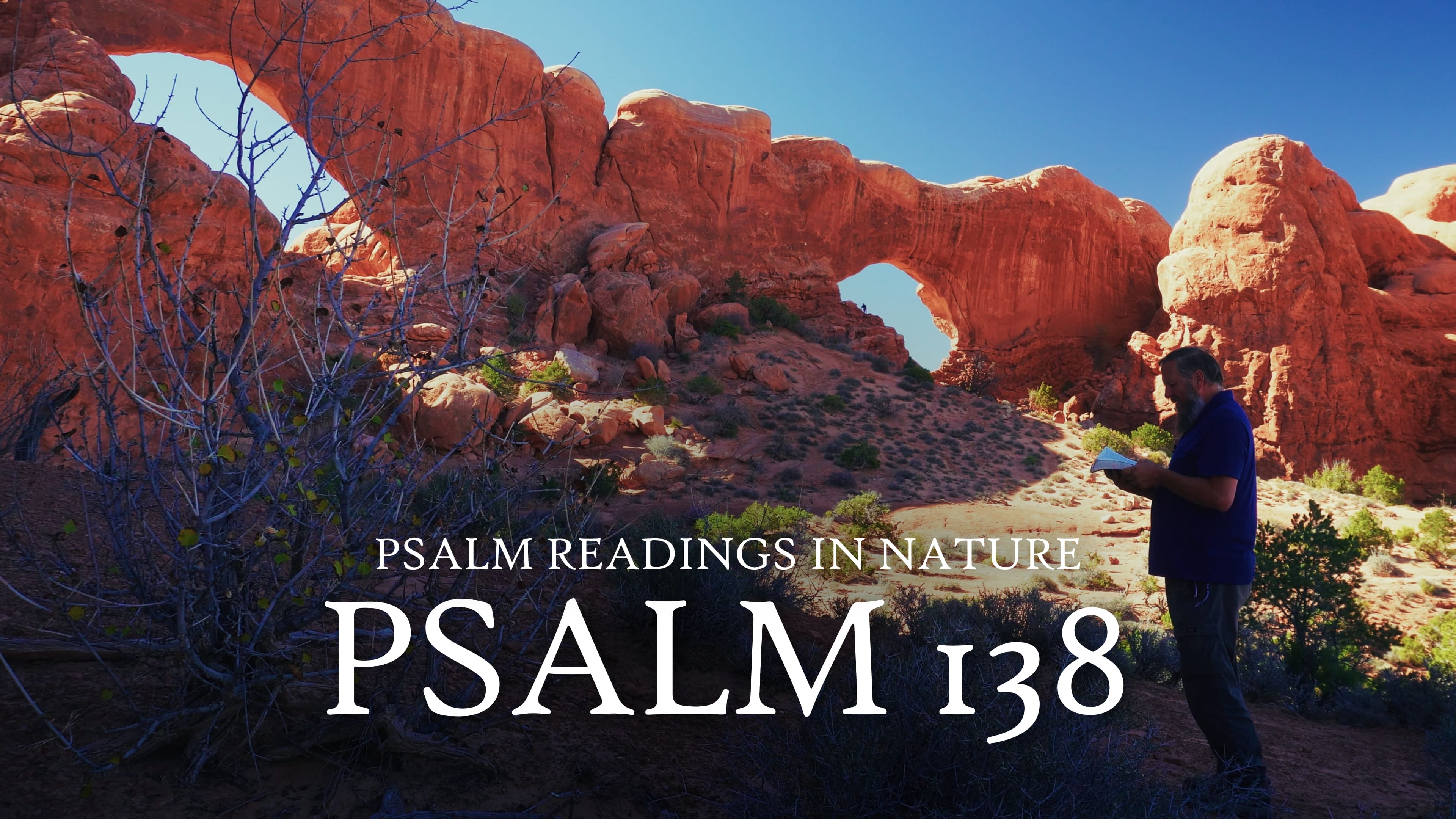 Psalm 138 | "I will praise thee with my whole heart"