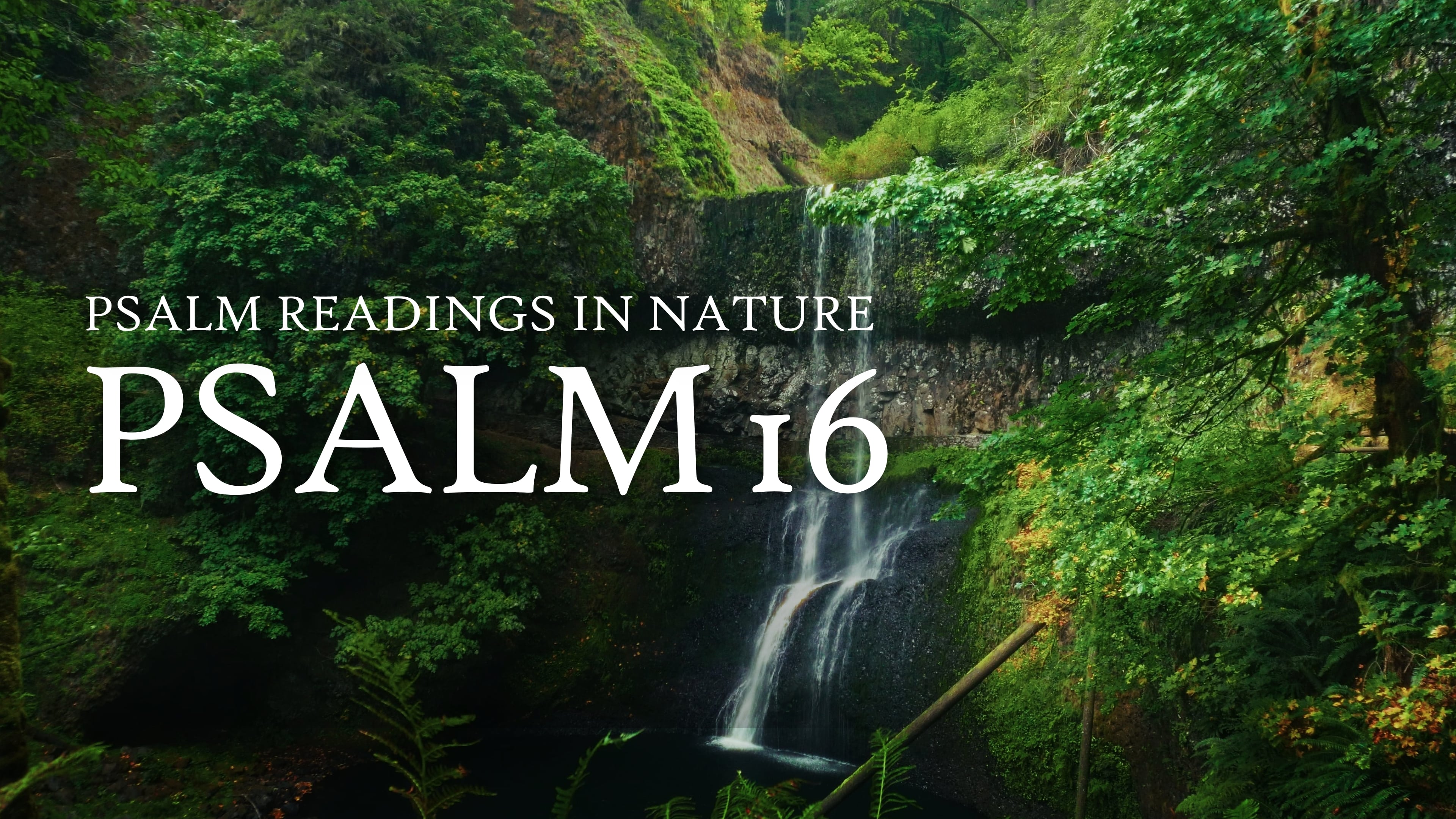 Psalm 16 | "Preserve me, O Elohim"