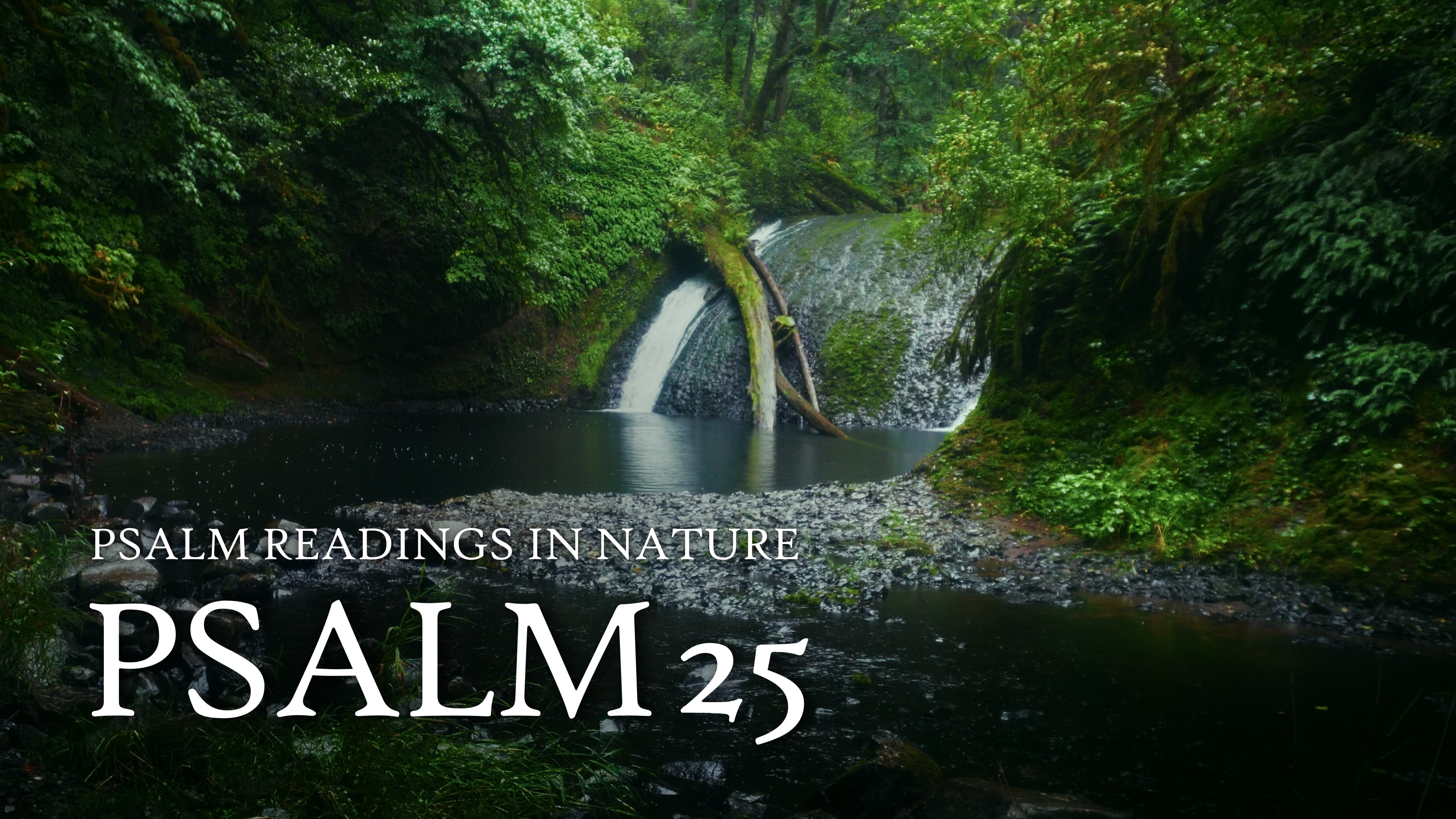 Psalm 25 | "Yea, let none that wait on thee be ashamed"