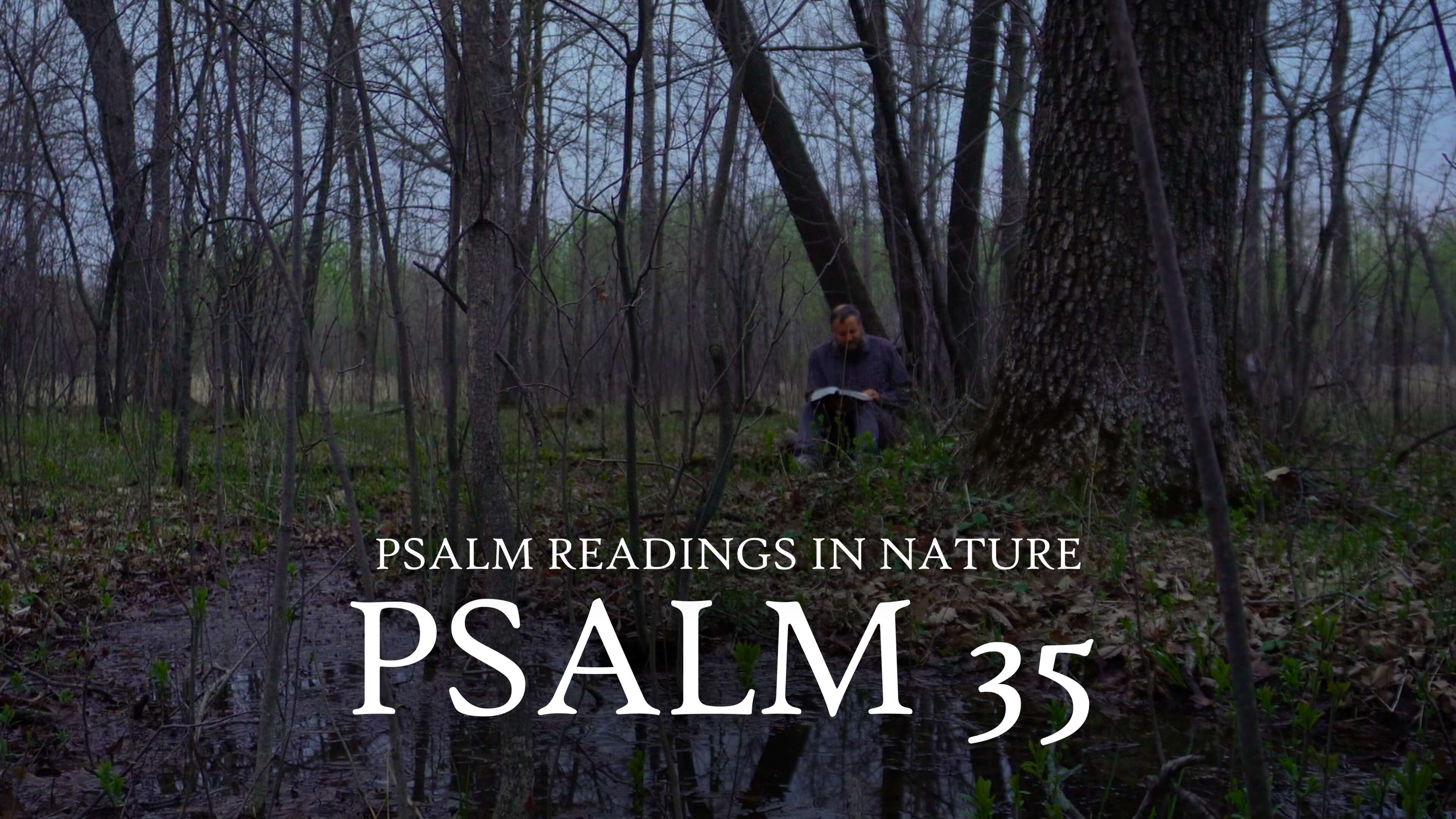 Psalm 35 | A psalm prophetic of the Messiah