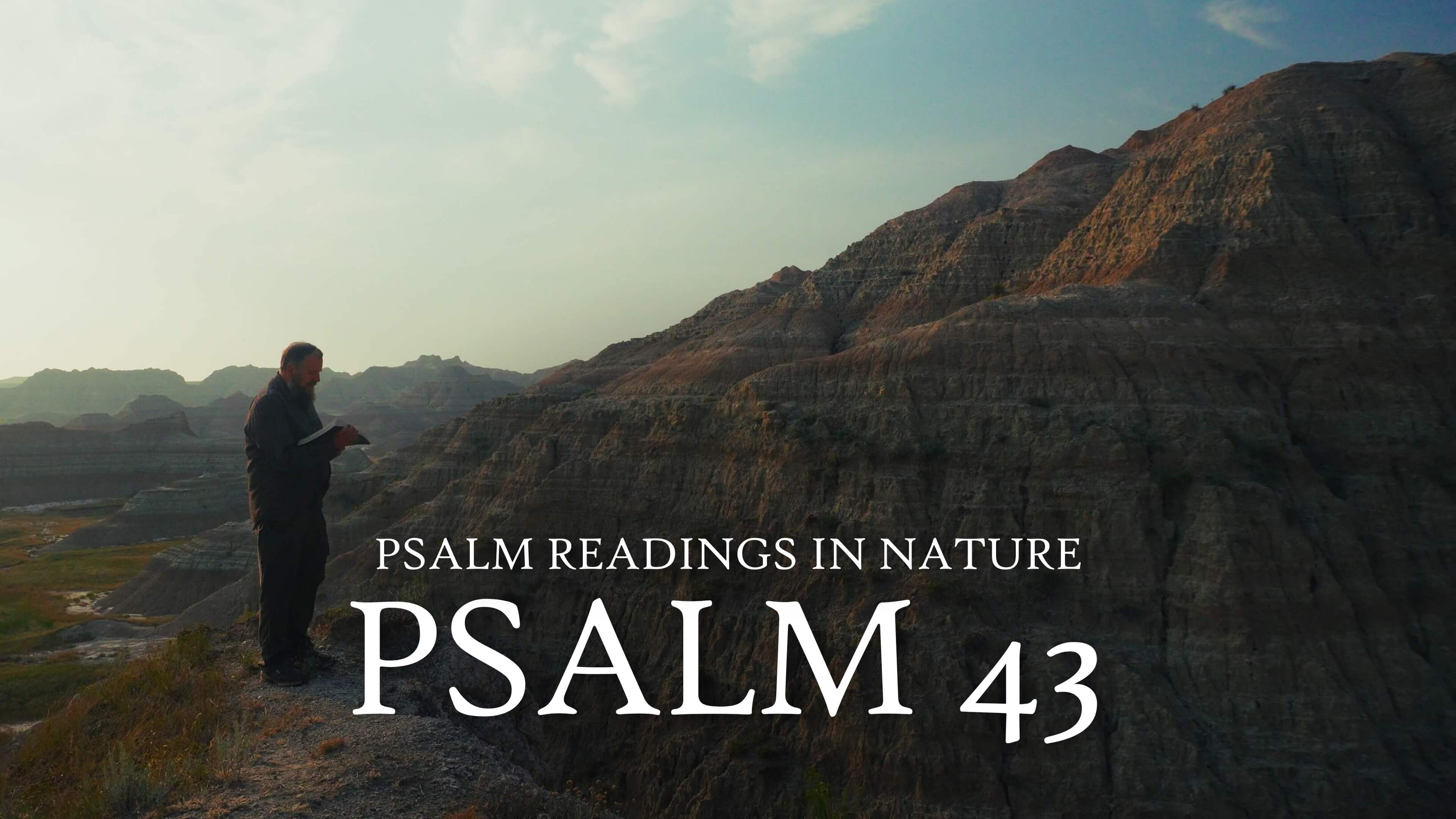 Psalm 43 | "Plead my cause against an unrighteous nation"