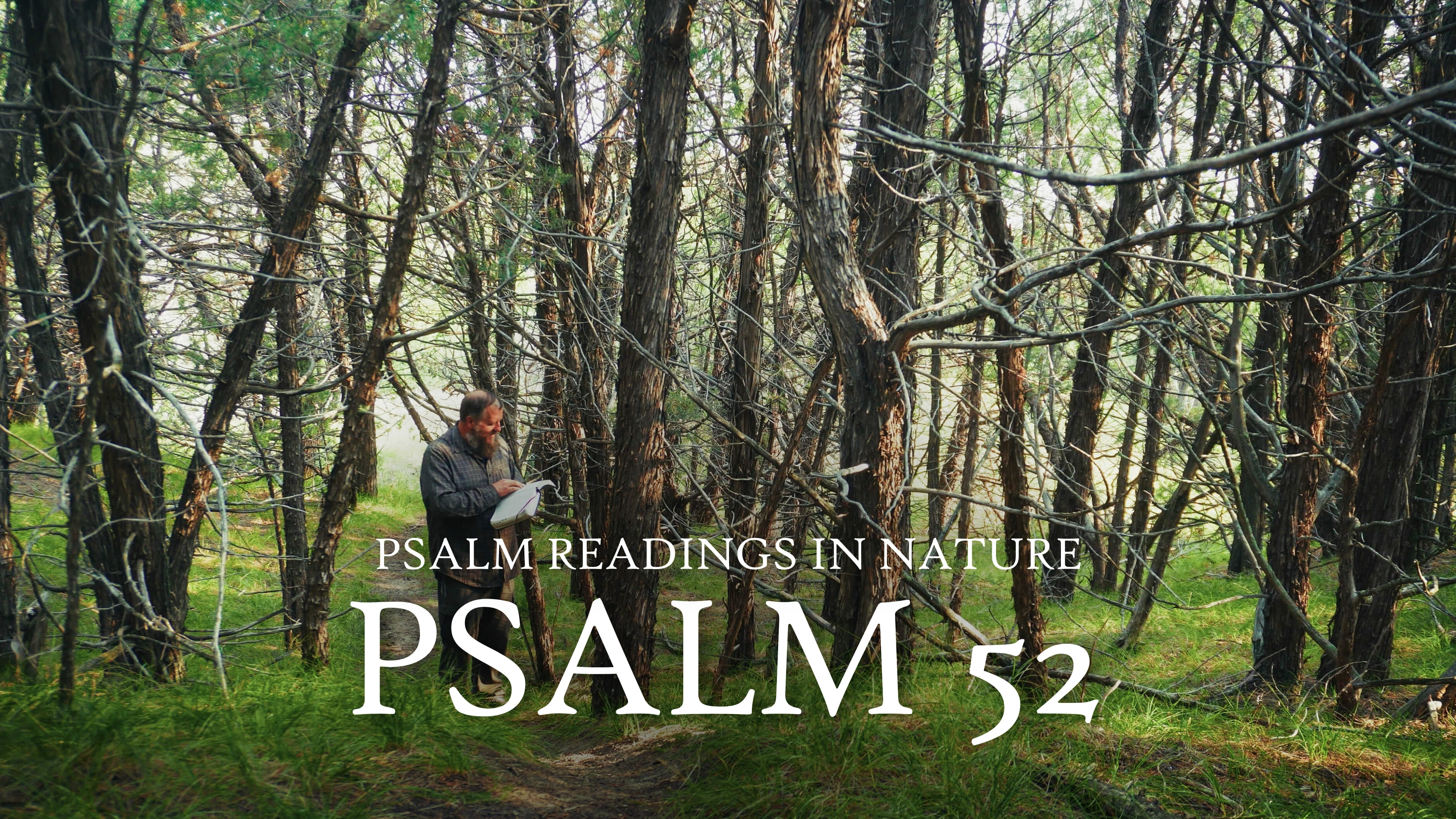 Psalm 52 | "I trust in the mercy of Elohim for ever"