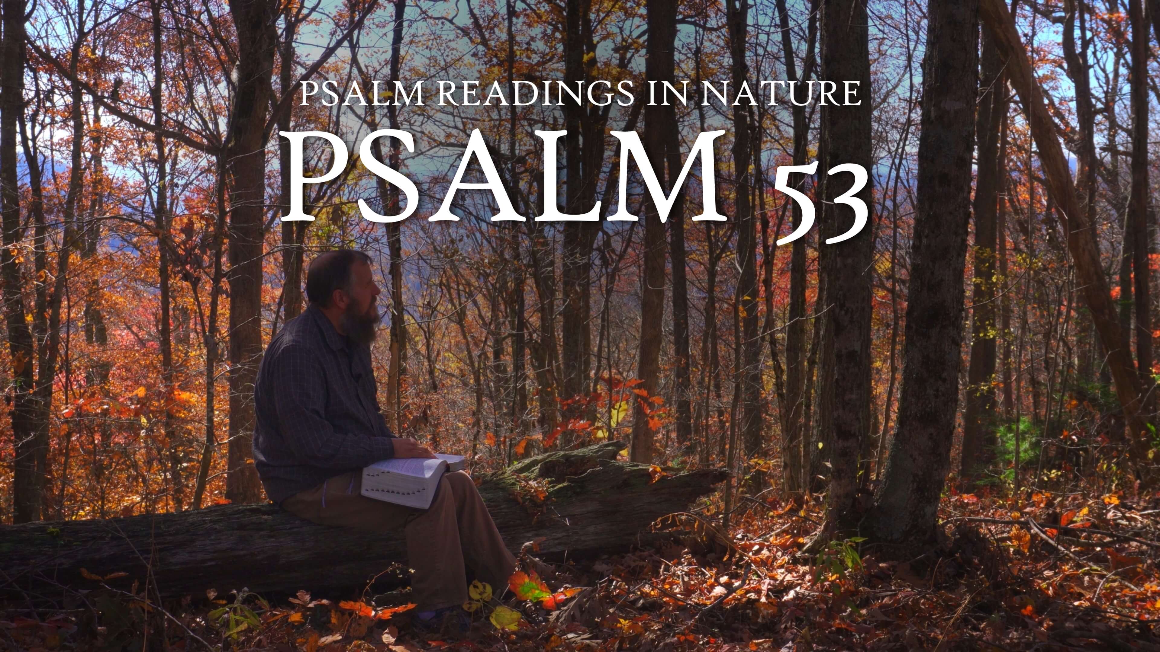 Psalm 53 | "There is none that doeth good"