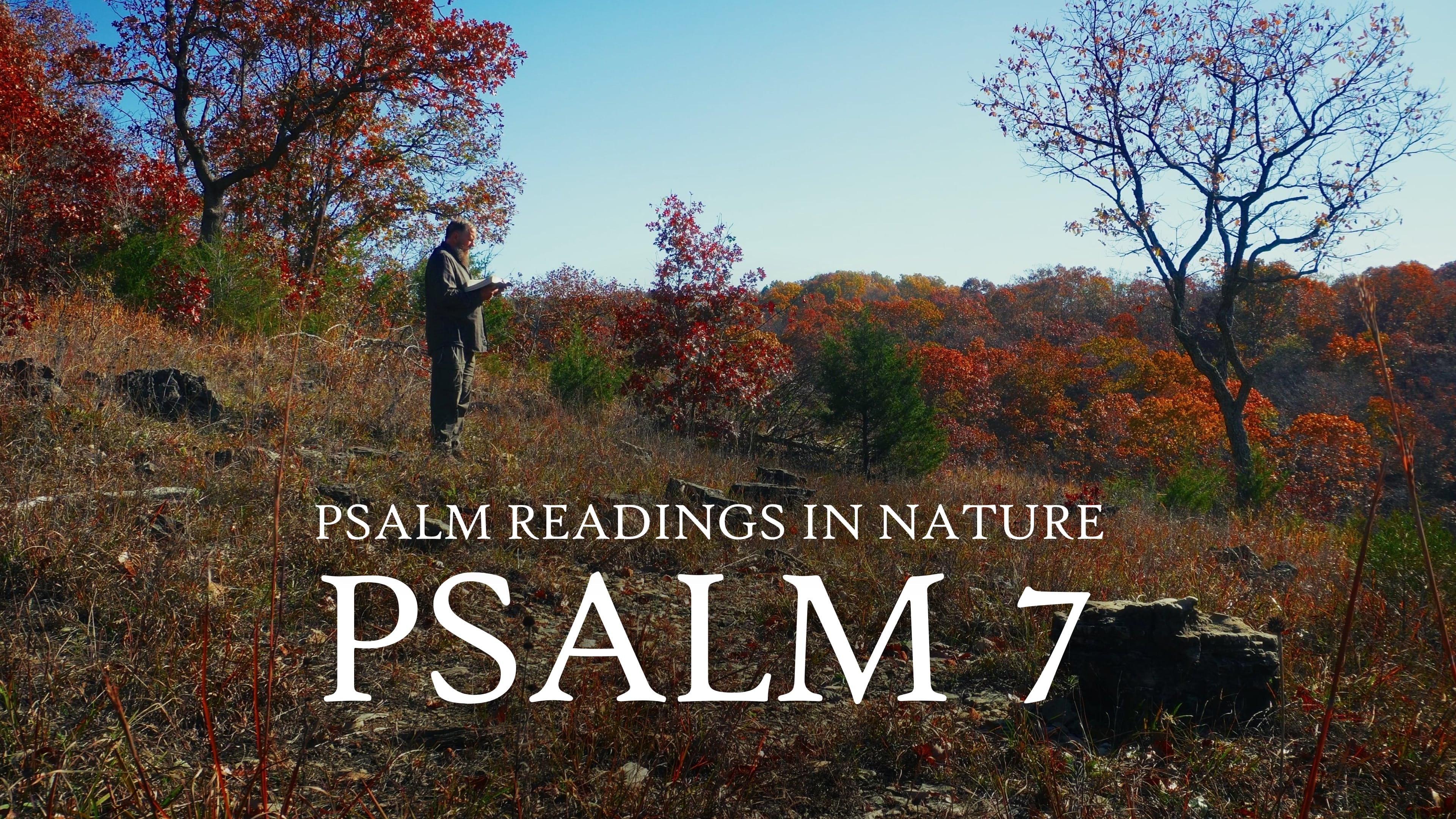 Psalm 7 | Righteousness will prevail