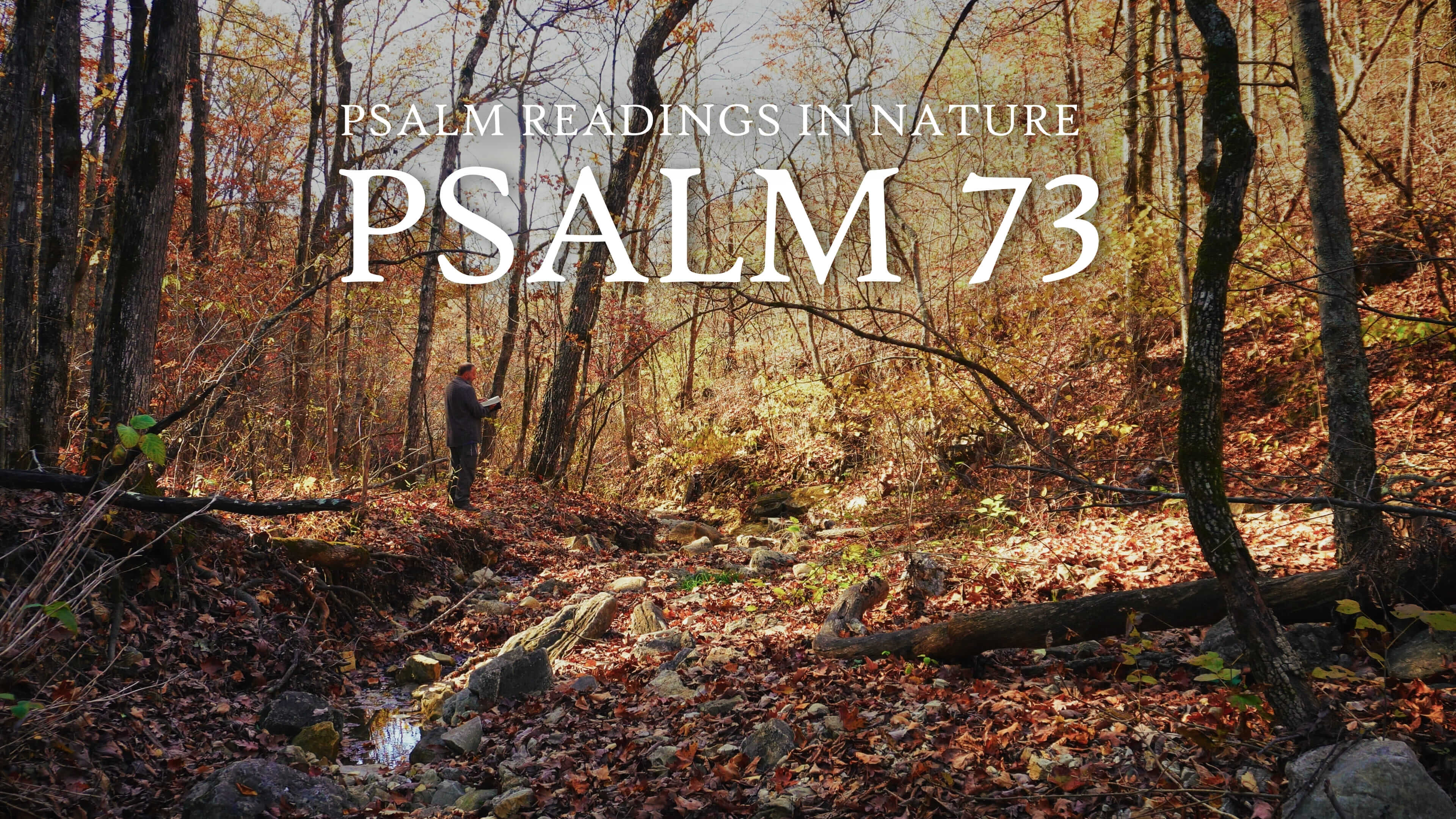Psalm 73 | Prosperity of the wicked vs. suffering of the righteous